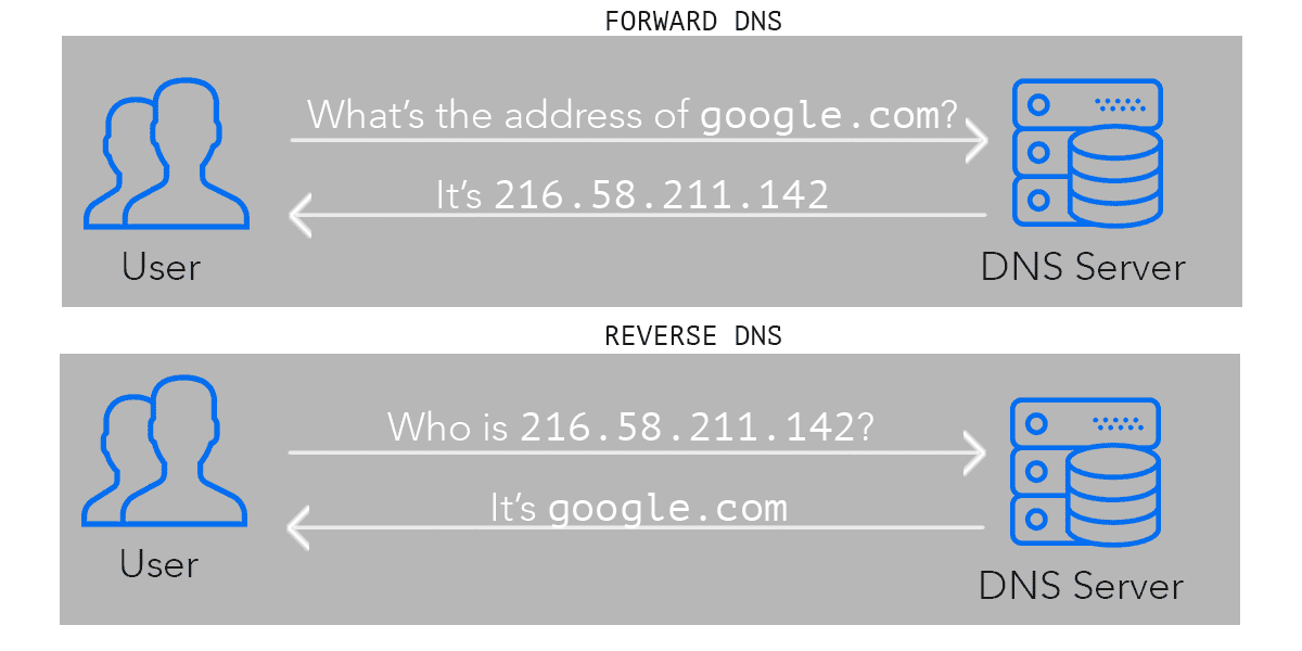 reverse DNS lookup illustrated