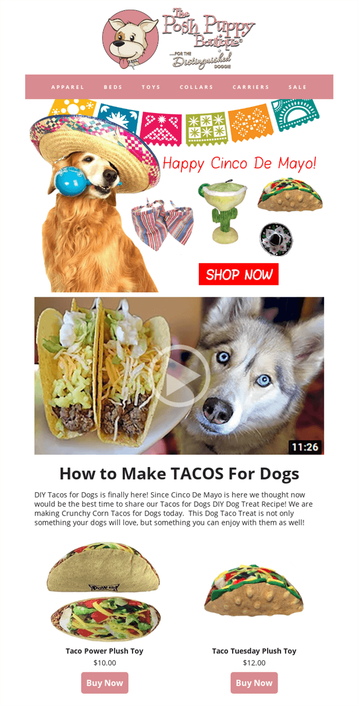 Cinco de Mayo pet products email